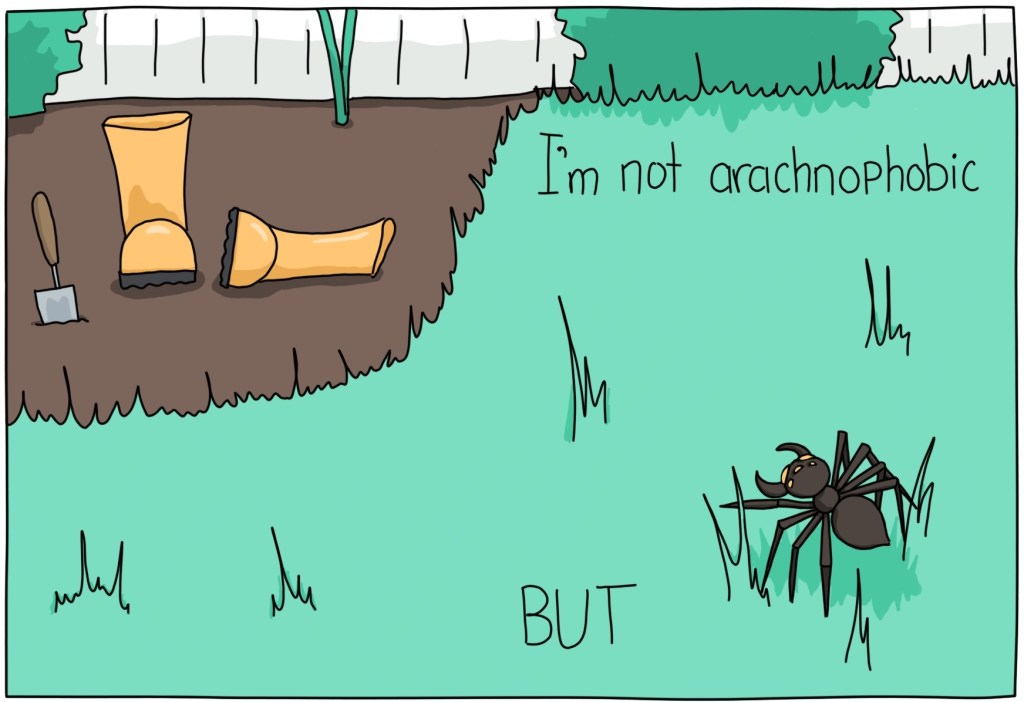 I’m not arachnophobic, but&nbsp;…
