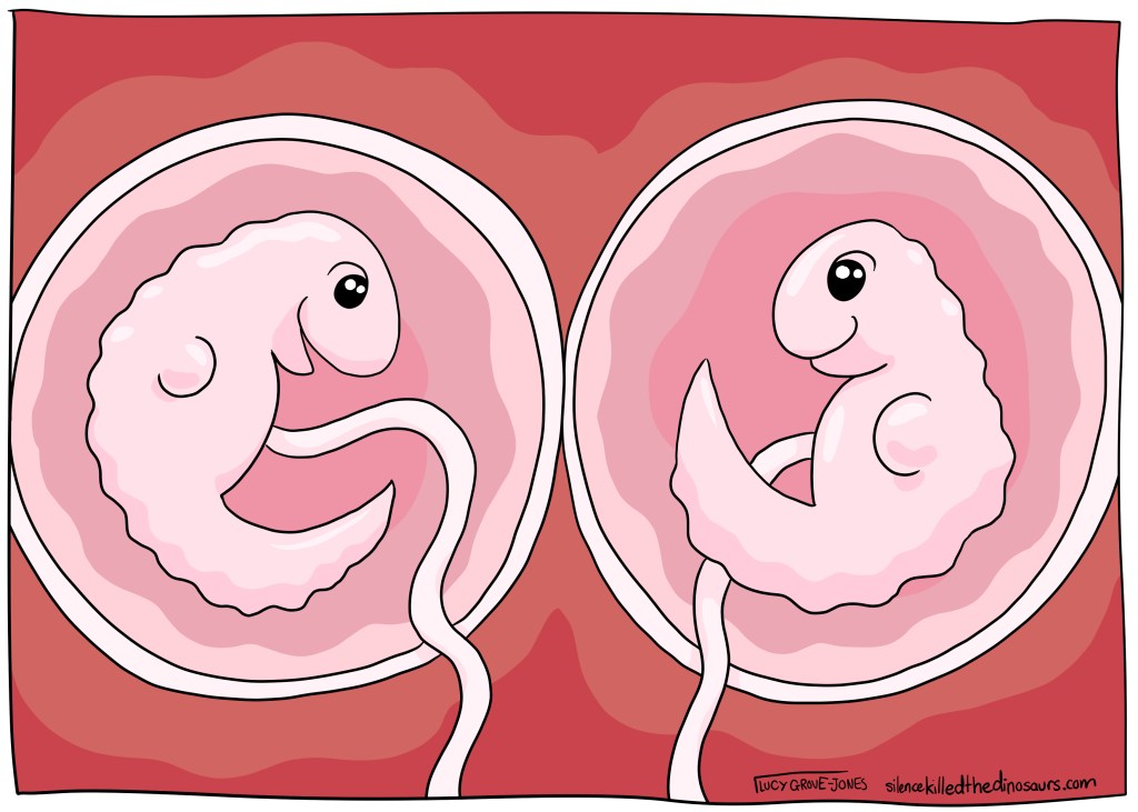 Twin cute mutant dinosaur foetuses.