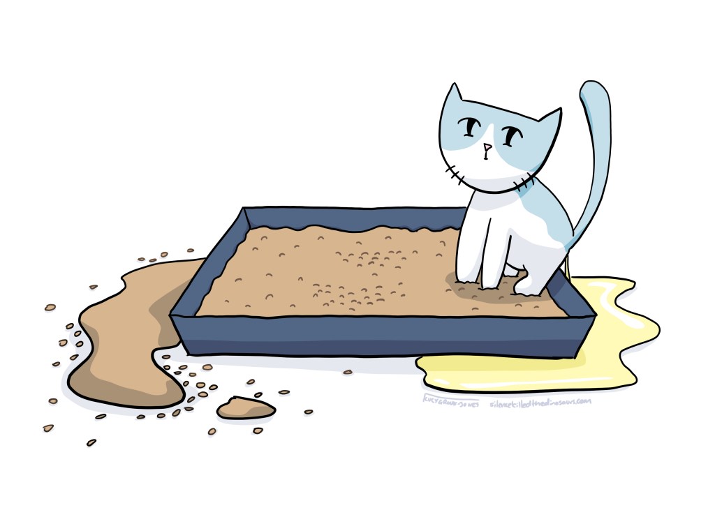 Cat sitting in litter box and peeing over the edge onto the floor.