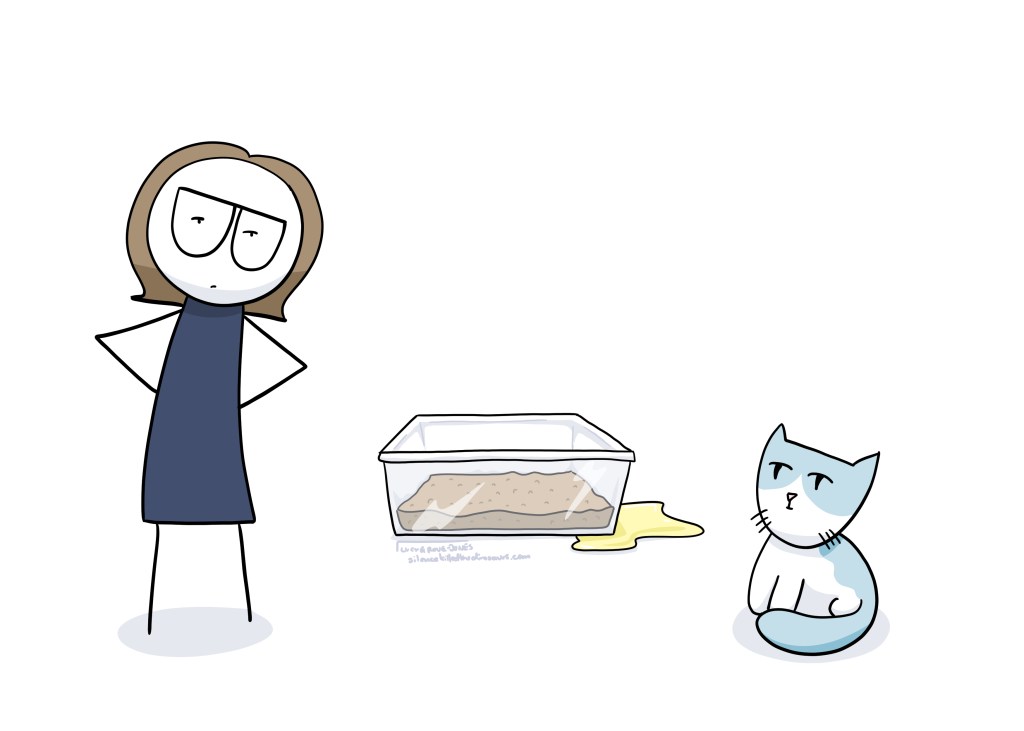Me and my cat face each other in front of a litter box. There is a puddle of pee right next to the box. I am not amused.