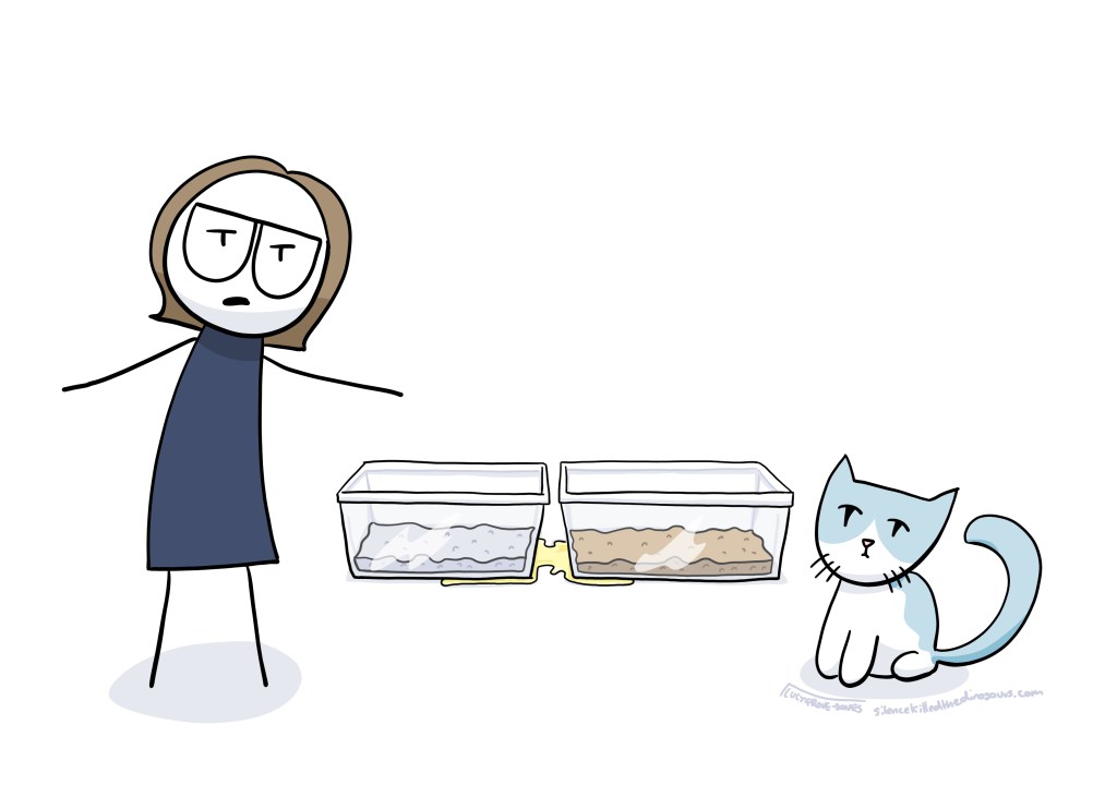 Me and my cat face each other in front of two litter boxes. They butt up against each other, and yet somehow there is pee on the floor between them. I am incredulous and very unimpressed.