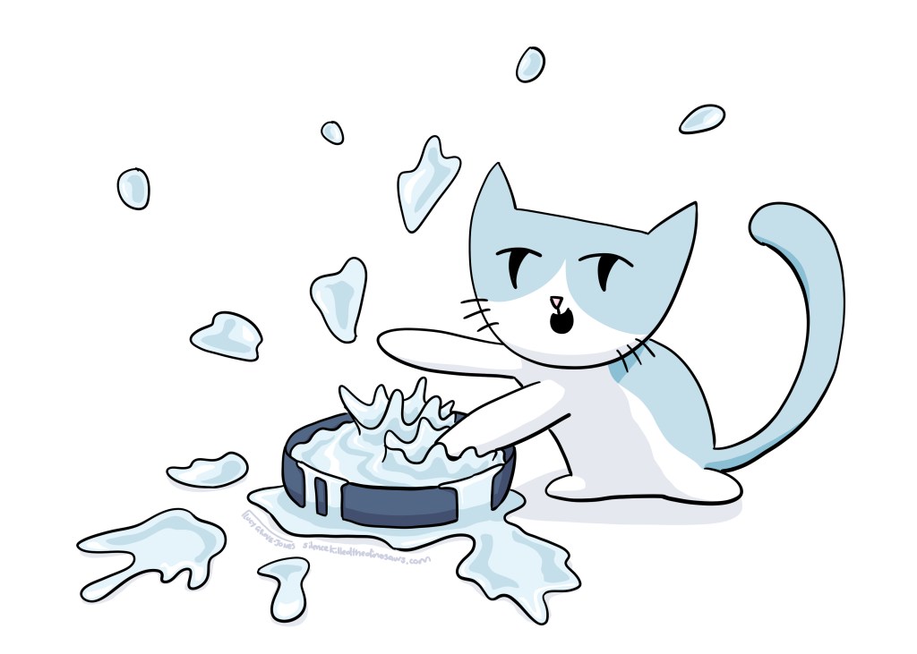 cat makes big splash in water bowl