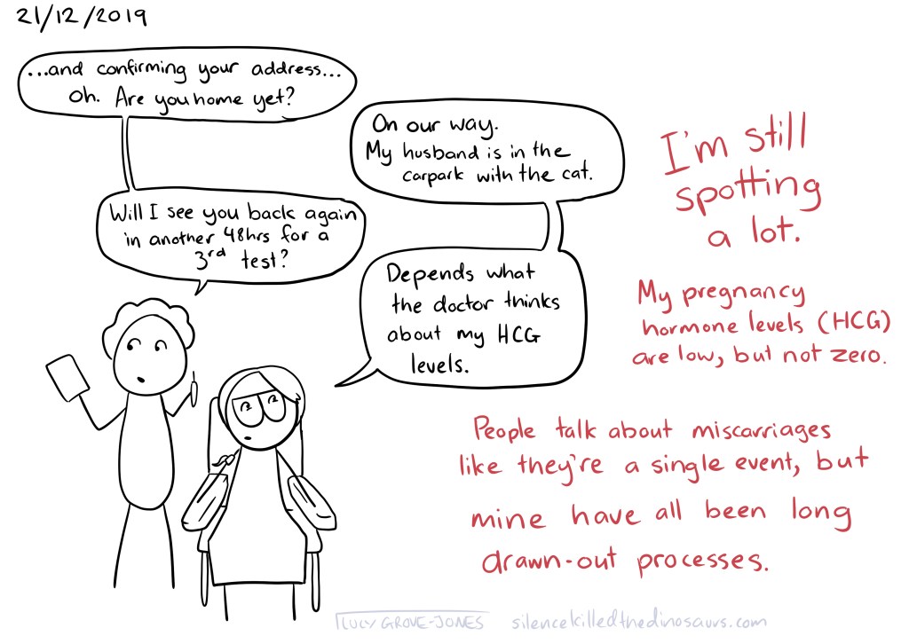 21/12/2019. I am getting blood taken by a nurse, who is saying “and confirming your address … oh. Are you home yet?” I say “On our way. My husband is in the carpark with the cat.” She says “Will I see you back again in another 48 hours for a 3rd test?” I say “Depends what the doctor thinks about my HCG levels.” Text (in red): “I’m still spotting a lot. My pregnancy hormone levels (HCG) are low, but not zero. People talk about miscarriages like they’re a single event, but mine have all been long drawn-out processes.”