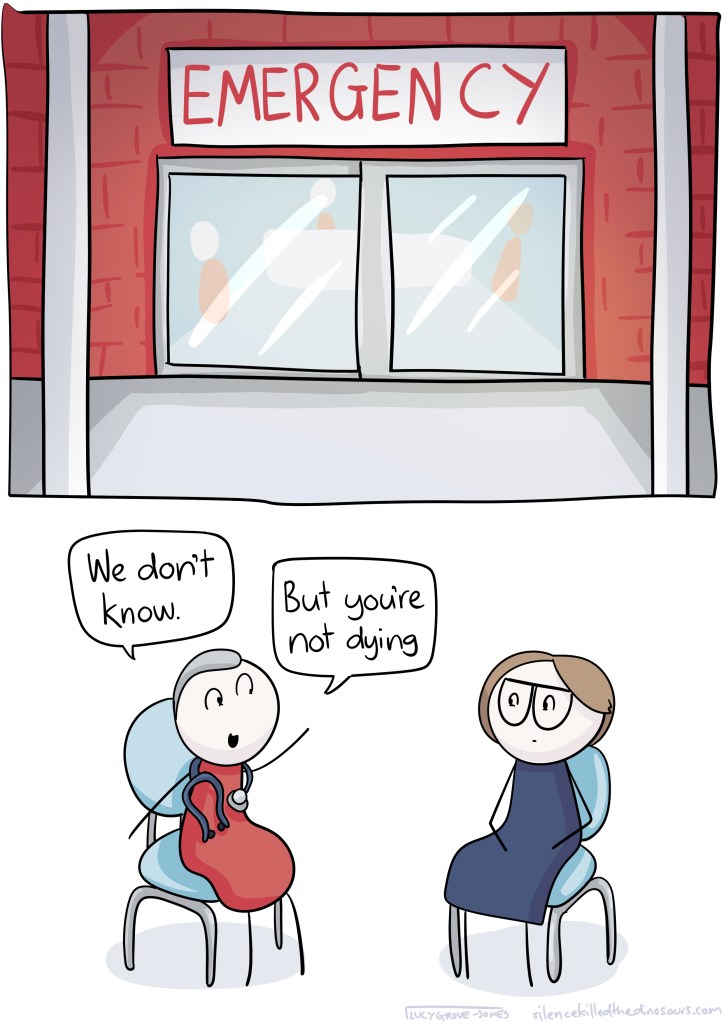 Two panels. The first shows the entrance to the Emergency Department. The second shows me in consult with a doctor. The doctor says 'We don't know. But you're not dying.'