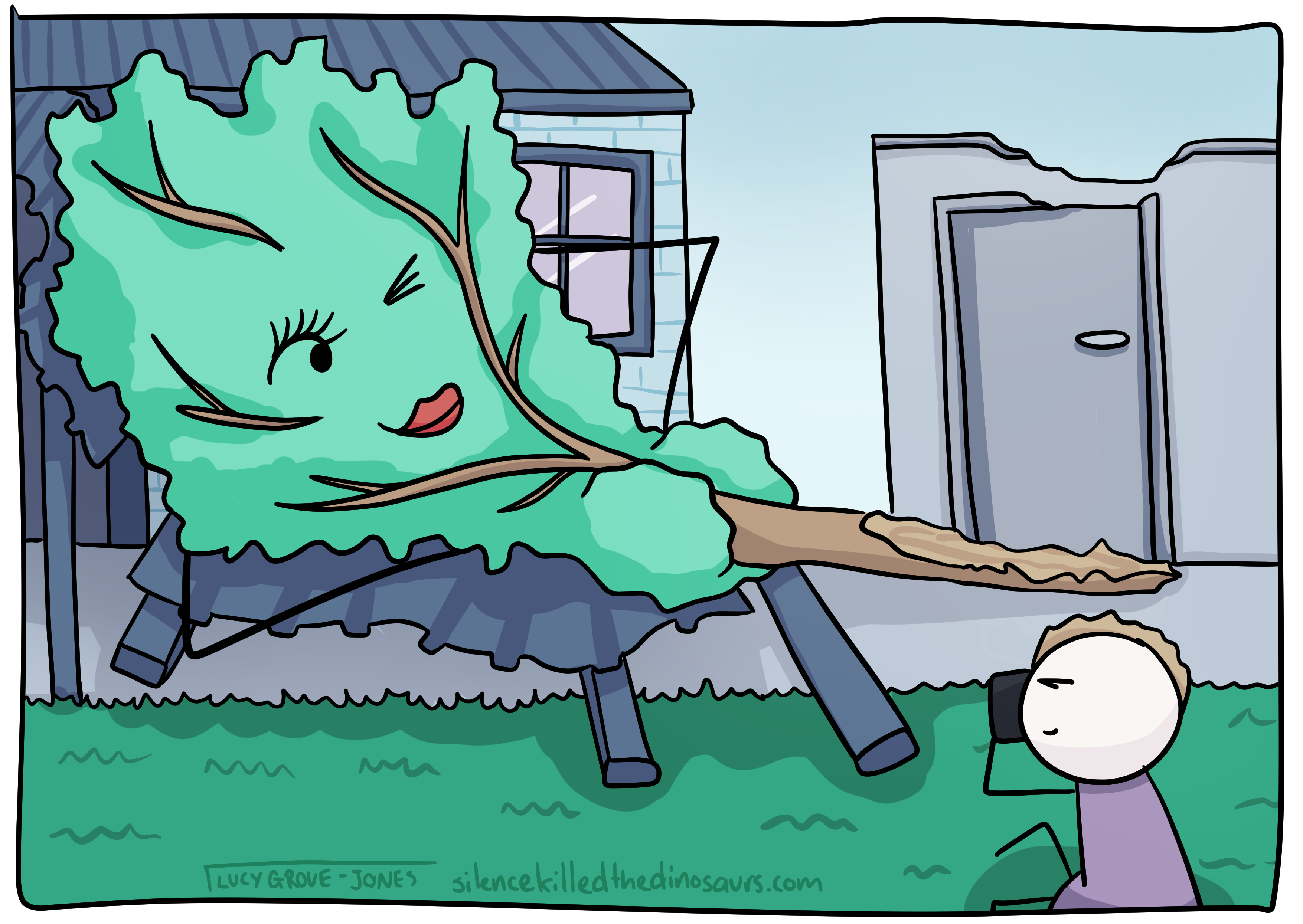 A man photographs a tree laying suggestively on a verandah