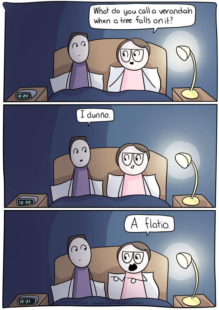 Comic with three panels showing comic Lucy and her partner sitting up in bed. Comic Lucy says 'What do you call a verandah when a tree falls on it?'. Her partner says 'I dunno.' Comic Lucy does finger guns and says 'A flatio'