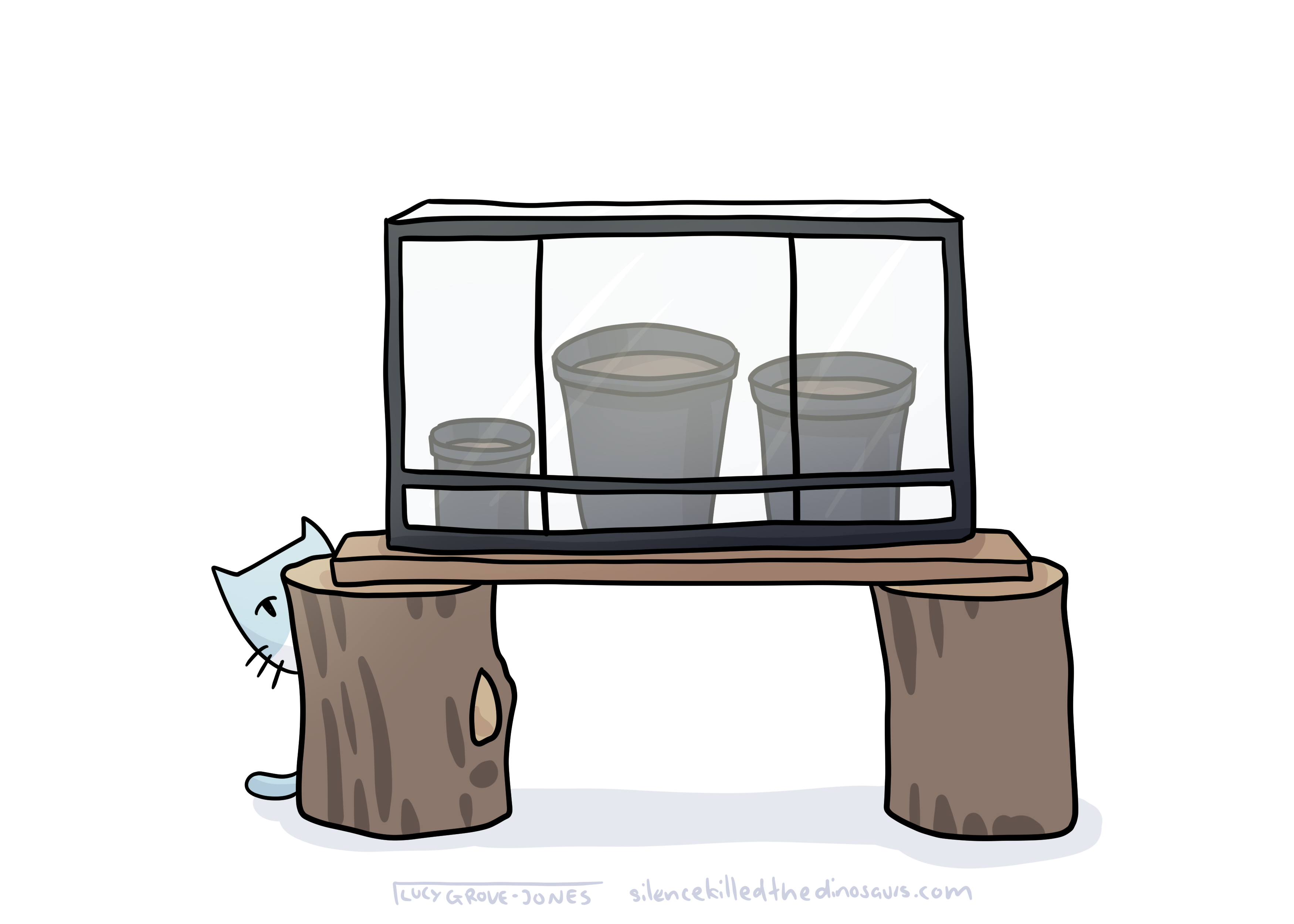 greenhouse on the bench, with cat peeking out from behind it