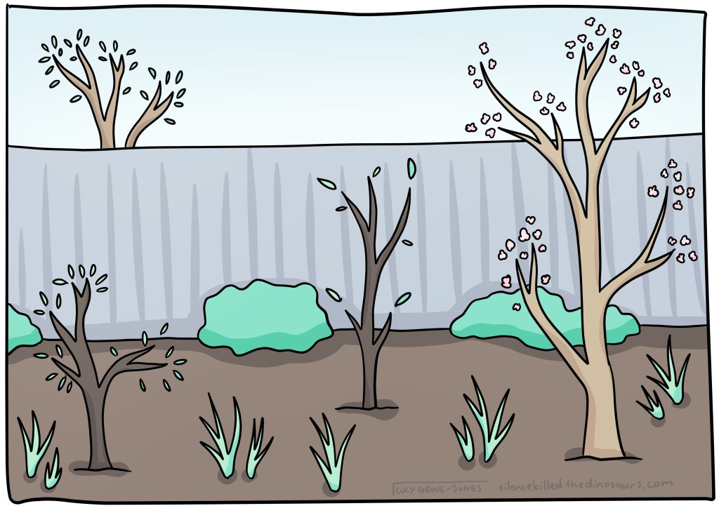 An early spring garden scene. Trees have little leaves or blossoms. Even the central tree has a few leaves.