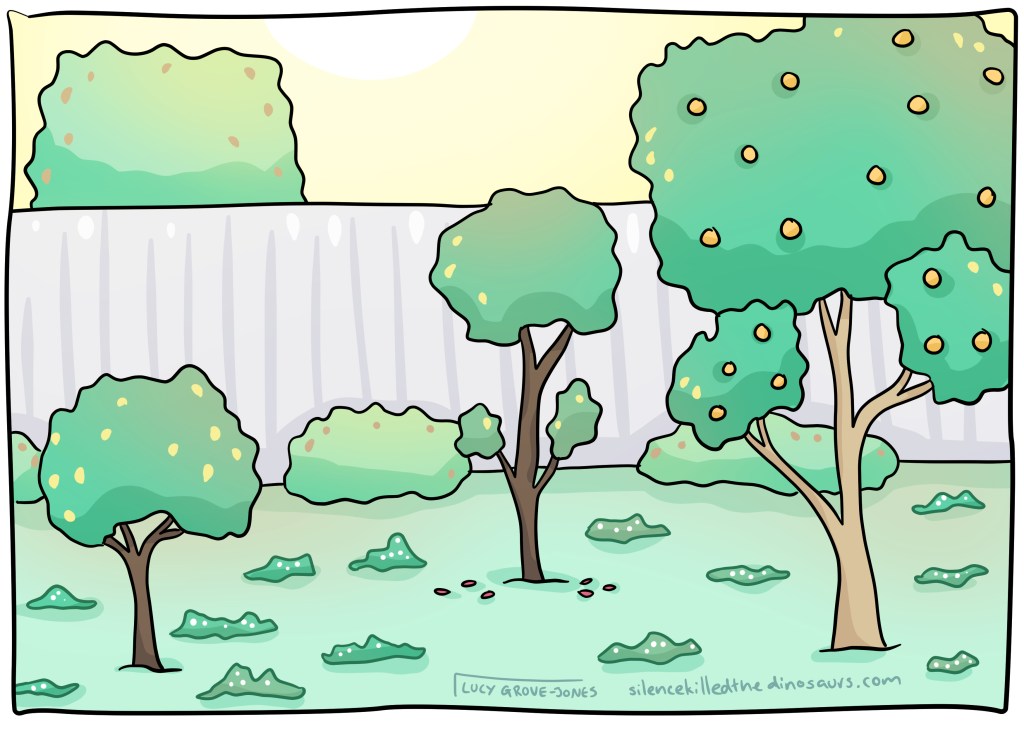 A warm summer garden scene. The central tree has no flowers. It's buds are scattered on the ground around it.