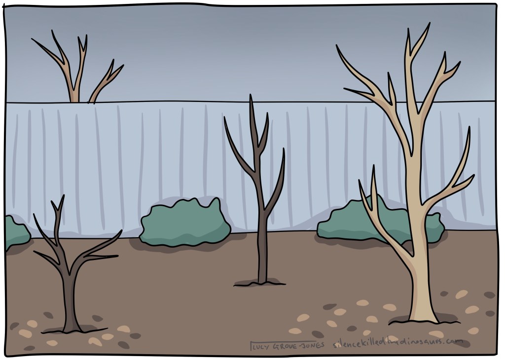 A drab winter garden with several leaf-less trees